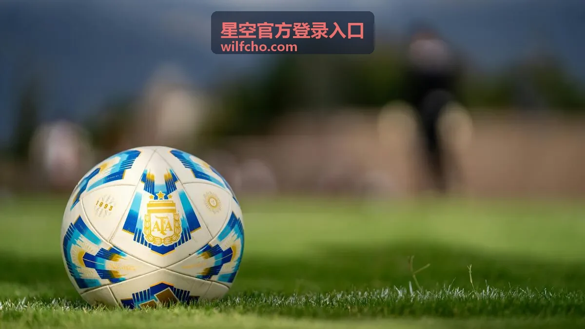 星空官方登录入口浏览器登录环境检查示意