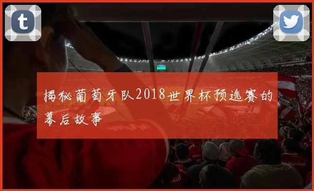 揭秘葡萄牙队2018世界杯预选赛的幕后故事