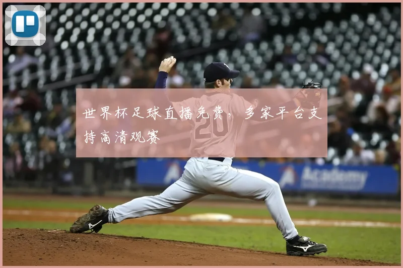 世界杯足球直播免费,多家平台支持高清观赛