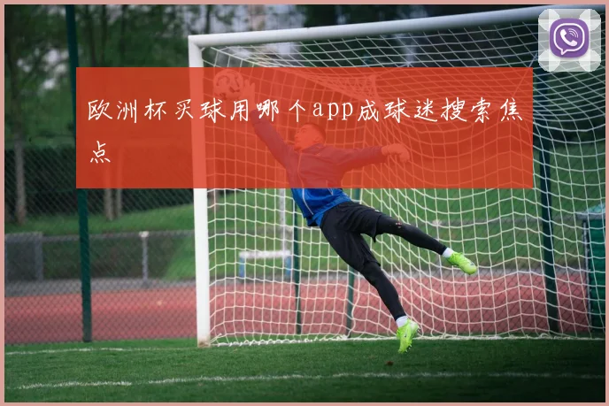 欧洲杯买球用哪个app成球迷搜索焦点