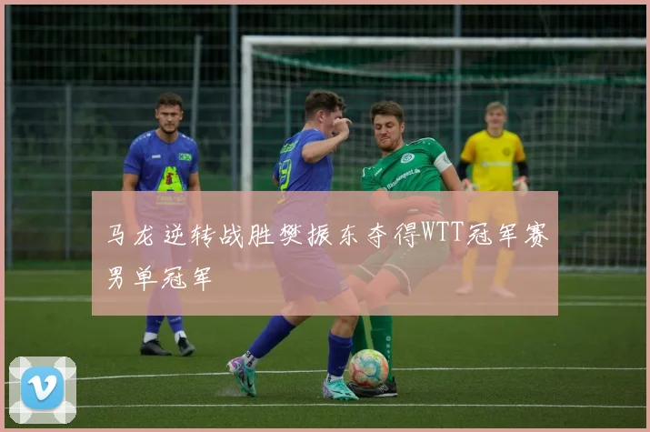 马龙逆转战胜樊振东夺得WTT冠军赛男单冠军