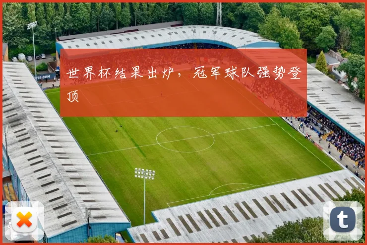 世界杯结果出炉,冠军球队强势登顶