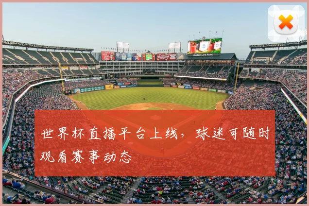 世界杯直播平台上线，球迷可随时观看赛事动态