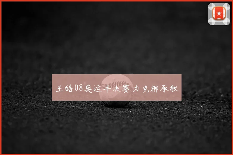 王皓08奥运半决赛力克柳承敏