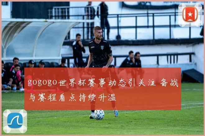 gogogo世界杯赛事动态引关注 备战与赛程看点持续升温