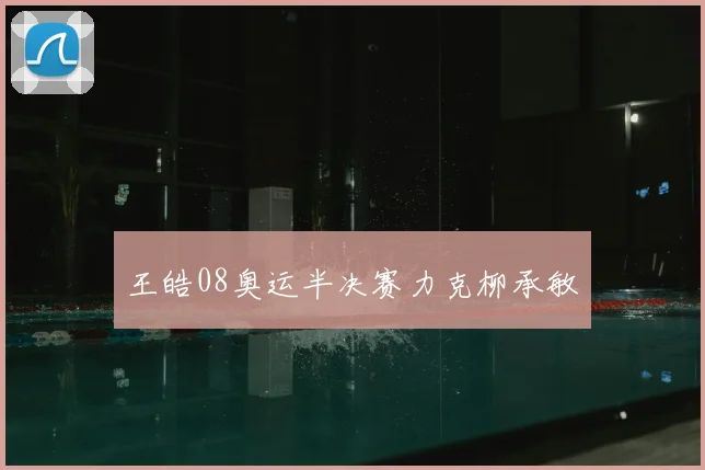 王皓08奥运半决赛力克柳承敏