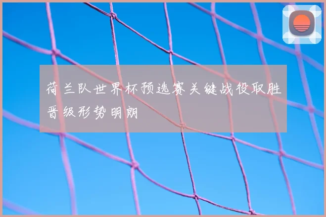 荷兰队世界杯预选赛关键战役取胜晋级形势明朗