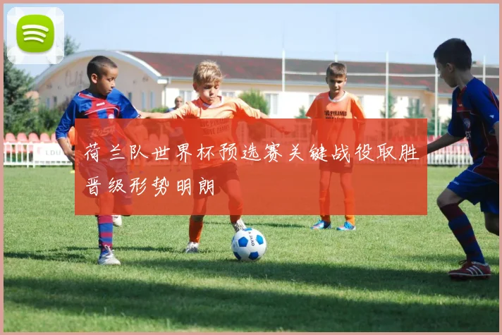 荷兰队世界杯预选赛关键战役取胜晋级形势明朗