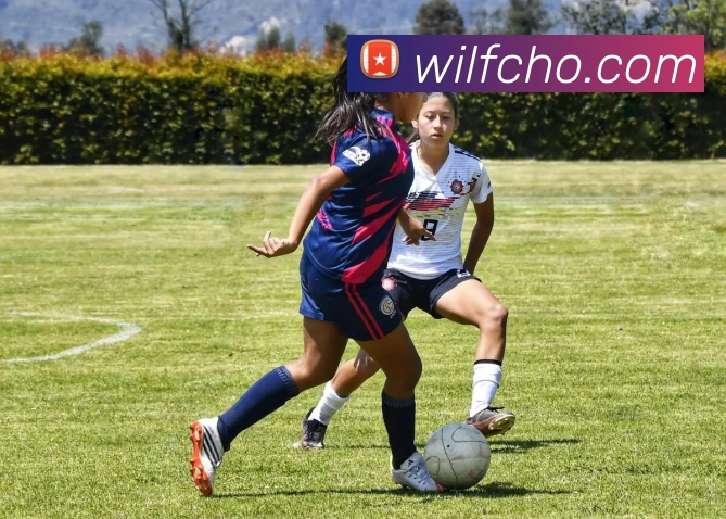 易倍emc网页登录全站App 易倍emc网页登录全站App