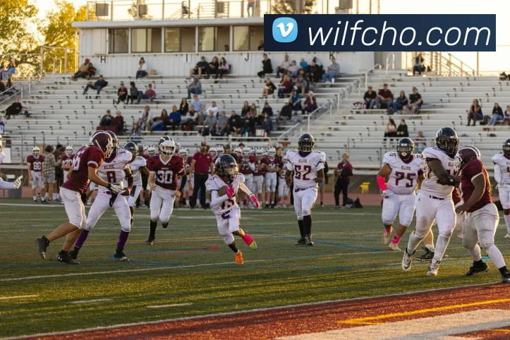 辅助工具 辅助工具